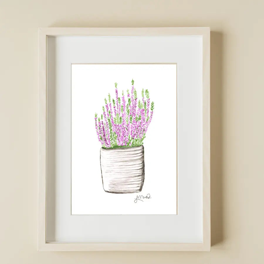 Scottish Heather art print featuring Lindsay MacDonald's original watercolor illustration