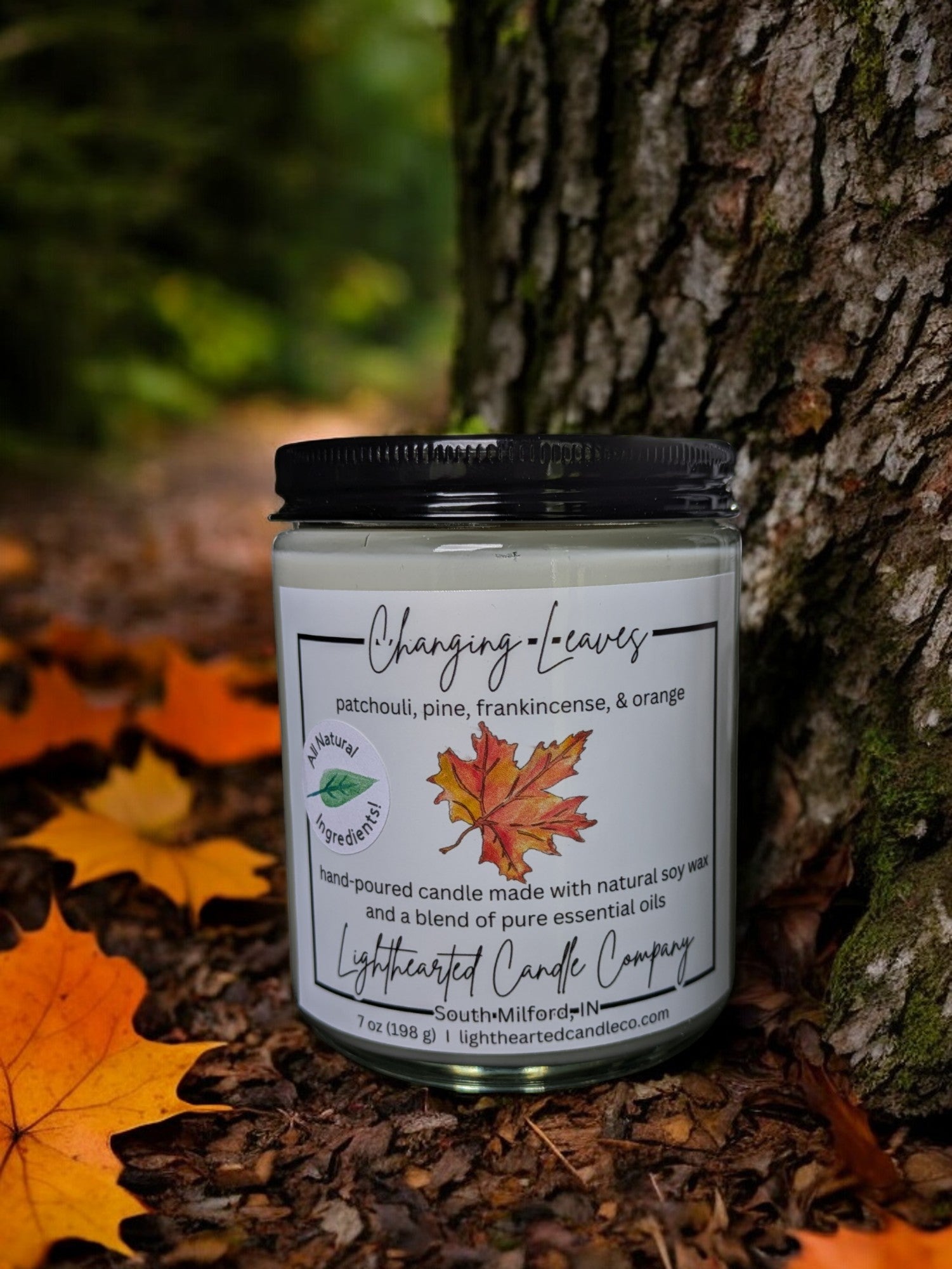 Changing Leaves - Candle- Main